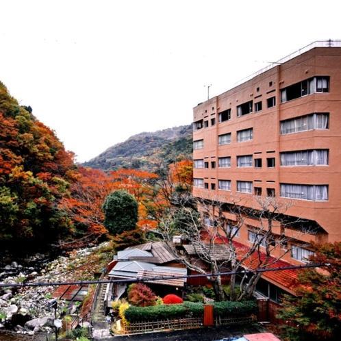 Hotel Okuyumoto Hakone Eksteriør bilde